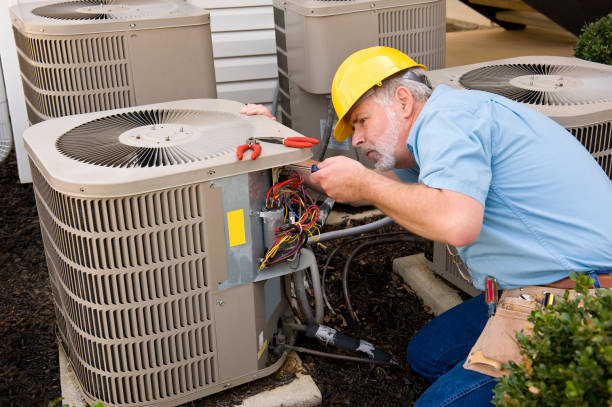 Best HVAC companies near me  in Lake Cassidy, WA
